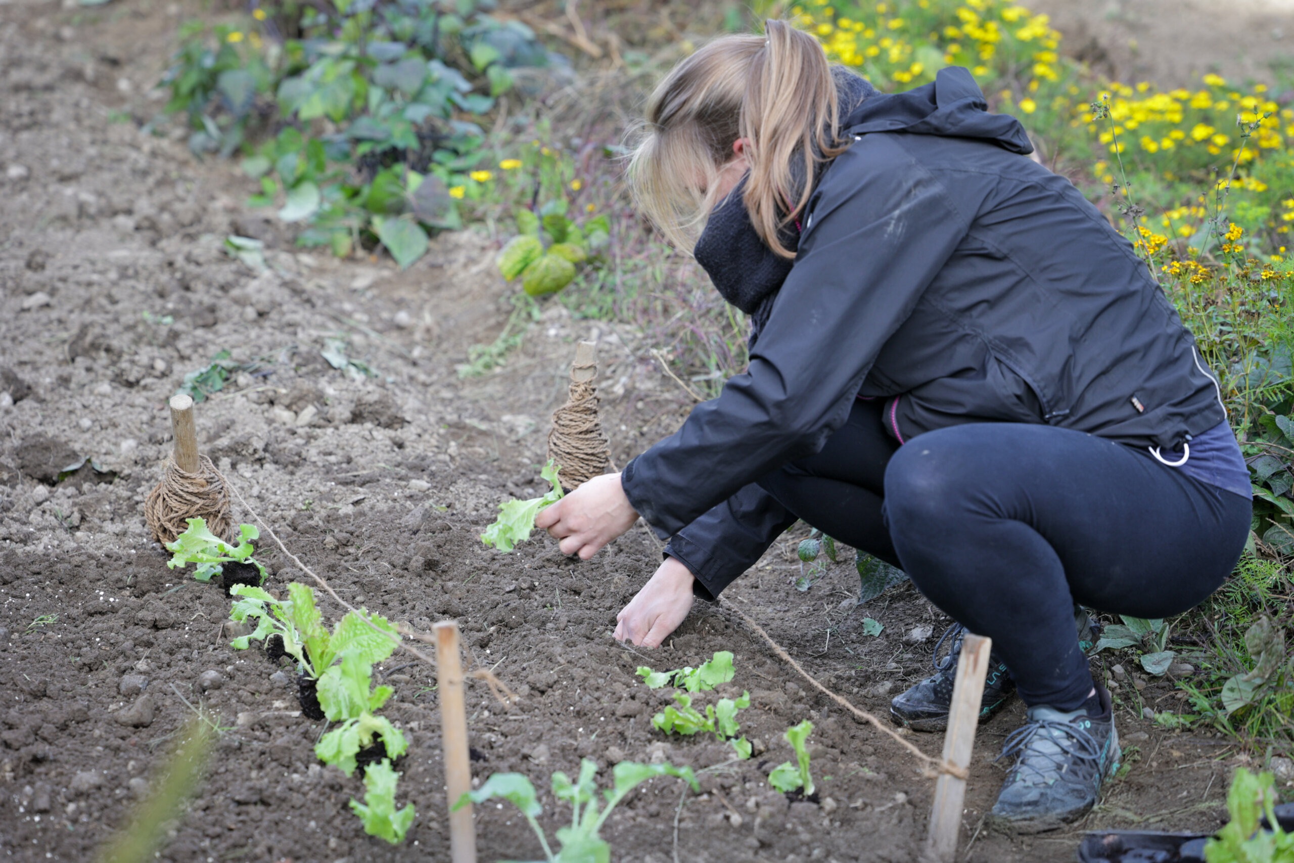 Plantahof